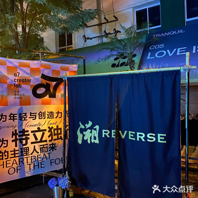🌳森林心脏音|地表最强城市森林造浪来袭!