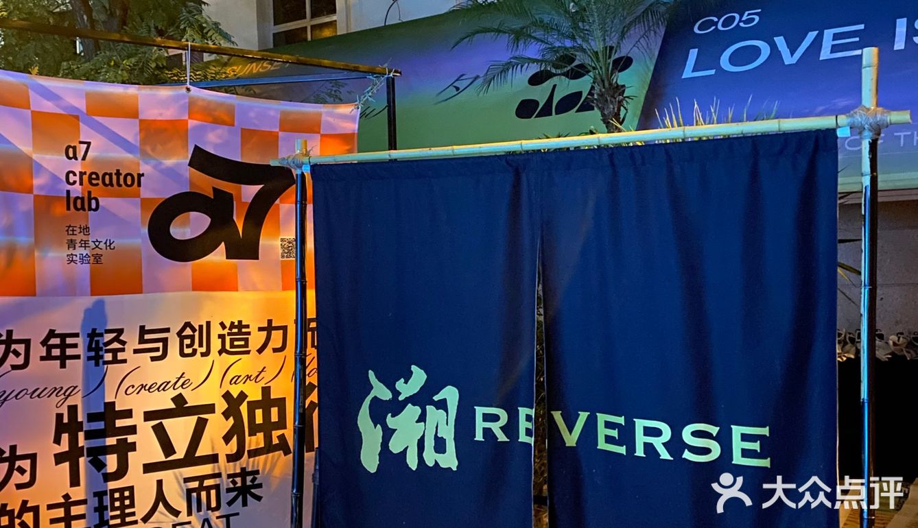 🌳森林心脏音｜地表最强城市森林造浪来袭！ 