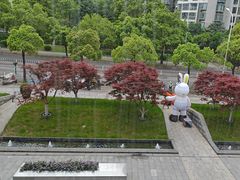 -大拙里·精致融合菜(沙湖桃源国际店)