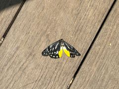 -孔雀湖生态旅游区