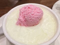 雪糕双皮奶-正德顺順德雙皮奶(中信店)