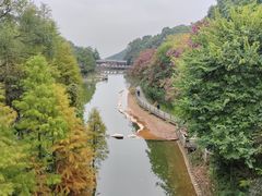 -广州市帽峰山景区
