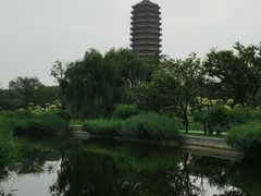 -西海子公园