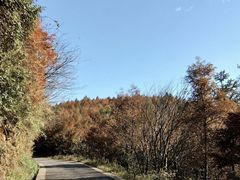 -山王坪喀斯特国家生态公园