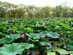 -南戴河国际娱乐中心