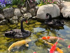 -罗红摄影艺术馆