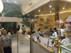 -飞行喵MR PILOT|猫舍·猫咖(静安大融城店)