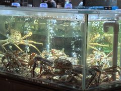 -紫阳海鲜楼·传承闽味(长乐路总店)