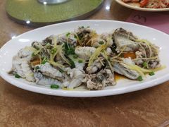 清蒸河豚-新河畔海鲜酒楼(虎门店)