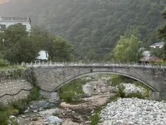 -牛背梁国家森林公园