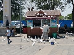 -天津妈祖文化园