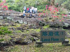-海口火山口国家地质公园