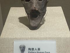 -烟台市博物馆