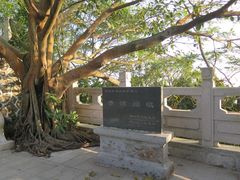 -小南山公园