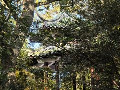 -瀛洲公园