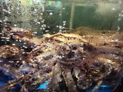 -蟹之国·精品蟹料理(极地店)