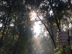 -云龙山