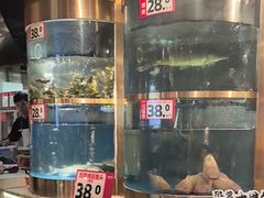 -蜀滋香鲜鱼美蛙火锅(339店)