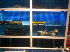 水产区-金龙·打边炉(南京西路店)