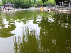 -莲湖公园