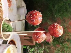 -初蓉丨遇见新川菜(亲贤街荣耀店)