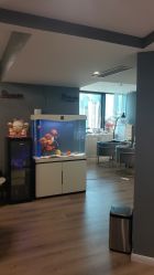 -妙睫屋日式美甲美睫