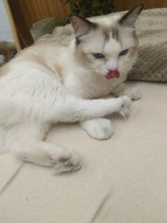-匠之美甲美睫