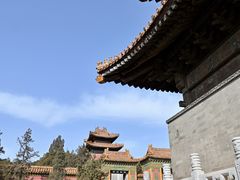 -清东陵