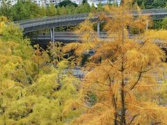 -福道
