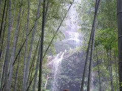 -竹野·上|老字号全竹宴