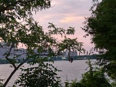 -艾溪湖湿地公园