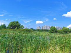 -哈尔滨大剧院