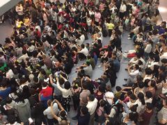 -绍兴梦享海洋公园