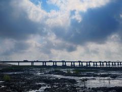 -南汇新城海滩
