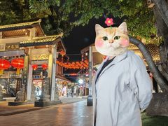 -磁器口古镇
