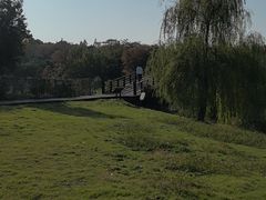 -南湖湿地公园