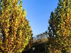 -圣露庄园·露营·烤肉·亲子