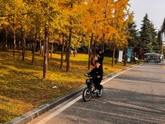 -洨河生态公园