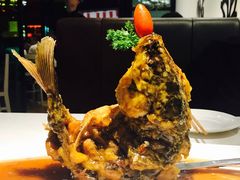 糖醋鲤鱼-闫府私房菜·百年鲁菜(恒隆店)