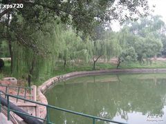 -紫竹院公园冰场