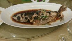 点击看大图 -泓瑞金陵大酒店·宴会厅