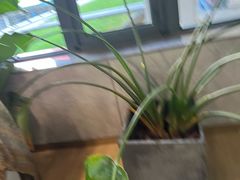 -山下C5cafe(惠通时代广场店)