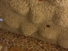 -百姓康洁洗浴中心