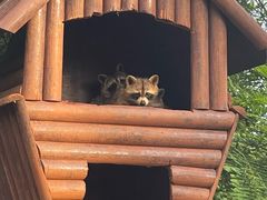 -海南热带野生动植物园