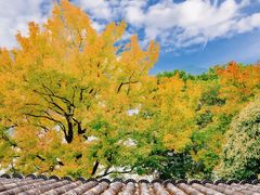 -蒋氏故居