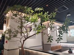 -大榕树下顺德菜(融创茂店)