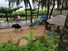 -三亚亚龙湾天域度假酒店