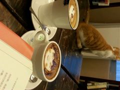 android_upload_pic-看书吧(体育东横路店)