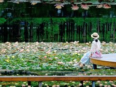 -白鹭湾湿地公园