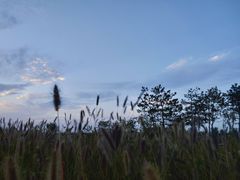 -汉长安城未央宫国家考古遗址公园